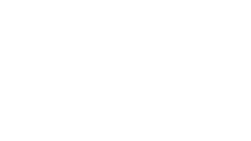 Capillar IT